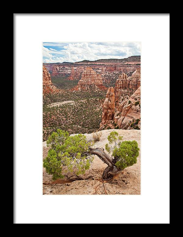 Colorado Framed Print featuring the photograph Zen and Chaos by Adam Pender