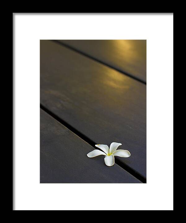 Minimal Framed Print featuring the photograph Forever and Ever by Prakash Ghai