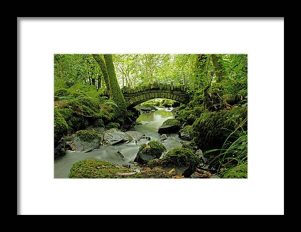 Bridge Framed Print featuring the photograph Kilfane Glen by Martina Fagan