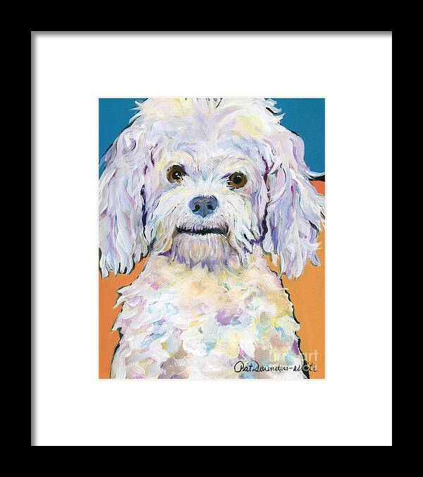 Poodle Framed Print featuring the painting Snowball by Pat Saunders-White