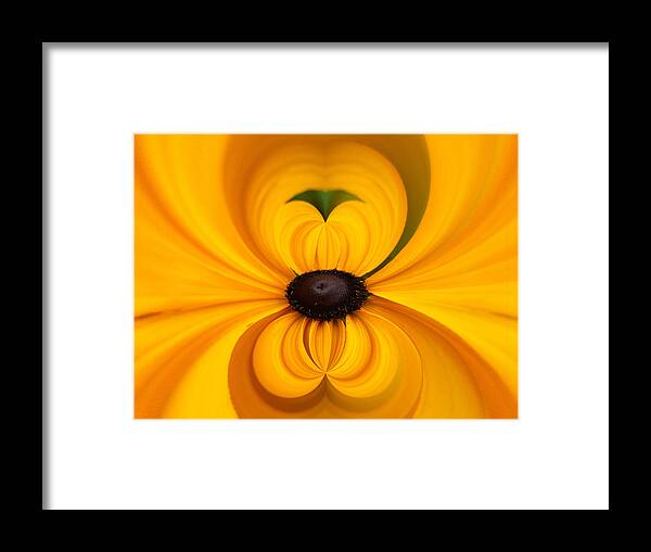 Lehtokukka Framed Print featuring the photograph Yellow 3 by Jouko Lehto