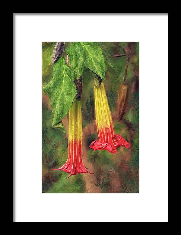  Framed Print featuring the digital art Floripondia Blossoms by Bill Johnson