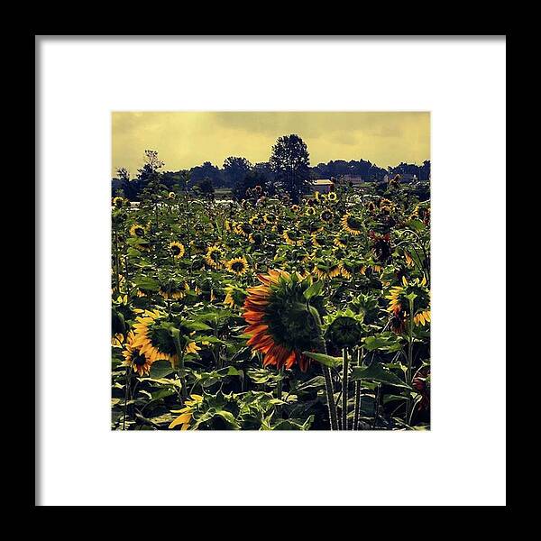 Ourdailyearth Framed Print featuring the photograph 08-26-18
-
-
-
sanborn, New York by Mel Porter