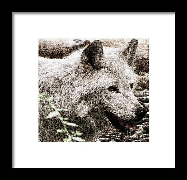 Wolf Photography Framed Print featuring the photograph 0mega Rules  by Debra   Vatalaro