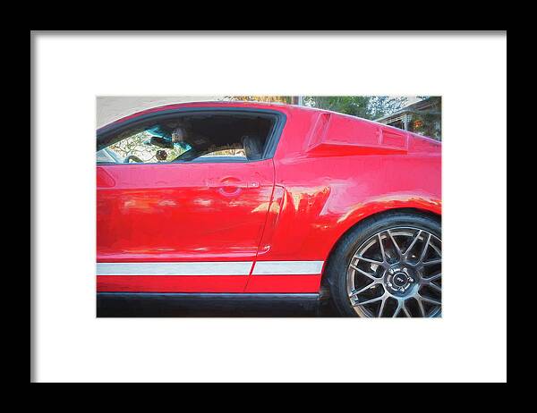 2012 Ford Mustang Gt 500 Framed Print featuring the photograph 2012 Ford Mustang GT 500 SVT #1 by Rich Franco