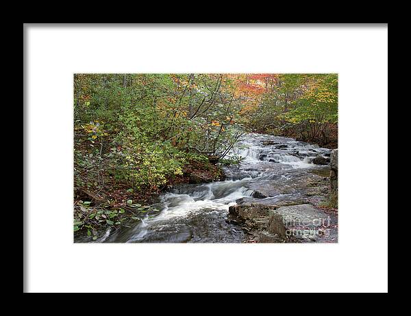 Maine Framed Print featuring the photograph Acadia Duck Brook #1 by Chris Scroggins
