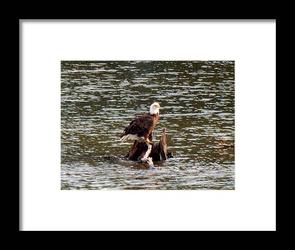 Water Framed Print featuring the photograph Against the Wind #1 by Wild Thing