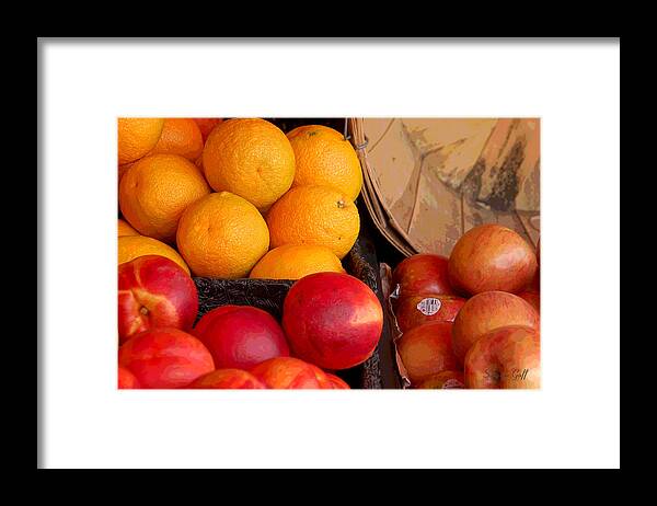 Apples Framed Print featuring the photograph Apples to Oranges #1 by Suzanne Gaff