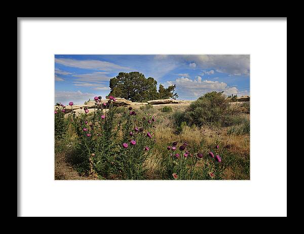 Arizona Framed Print featuring the photograph Arizona Desert #1 by Joseph G Holland
