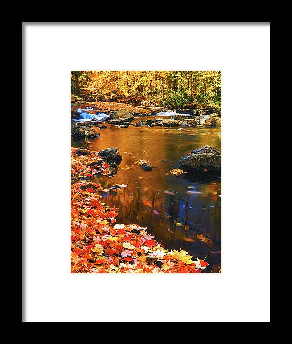 New York Landscape Framed Print featuring the photograph Autumn Afternoon #1 by Frank Houck