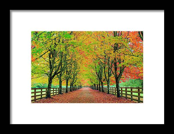 Autumn Framed Print featuring the photograph Autumn Drive by Kristine Anderson