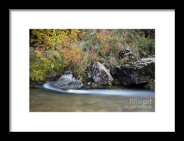 Coeur D'alene National Forest Framed Print featuring the photograph Autumn Flow #1 by Idaho Scenic Images Linda Lantzy