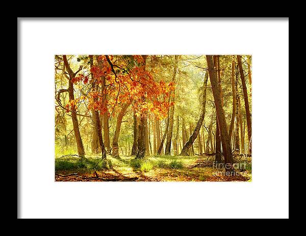 Autumn Framed Print featuring the photograph Autumn light... #2 by LHJB Photography