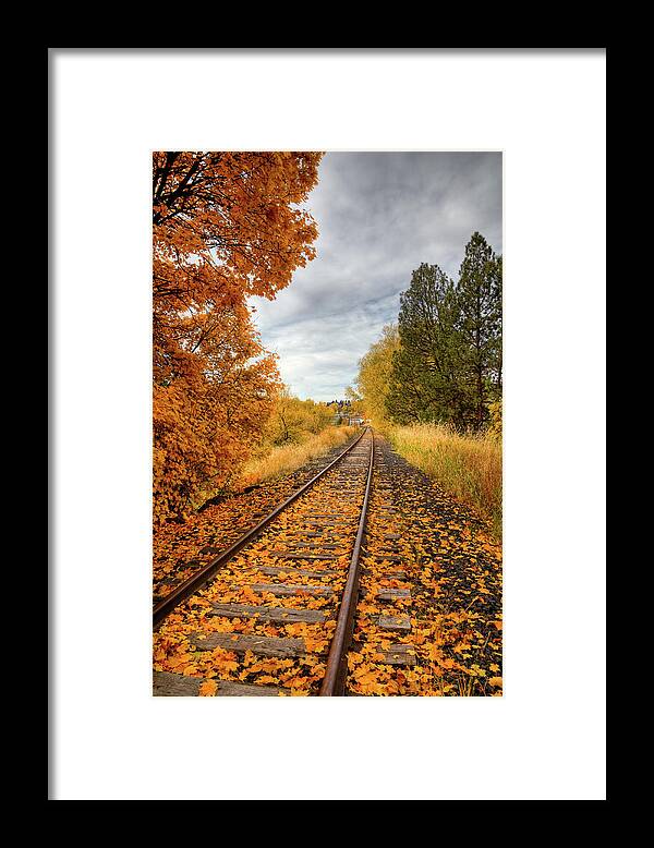 Autumn On The Tracks Framed Print featuring the photograph Autumn on the Tracks #2 by David Patterson