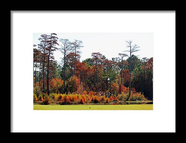 Autumn Framed Print featuring the photograph Autumn View from My Window #1 by Suzanne Gaff