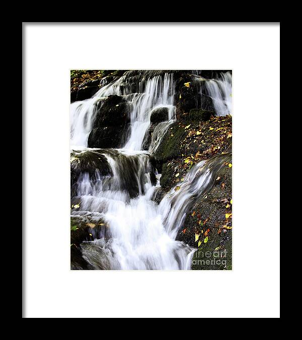 Badger Framed Print featuring the photograph Badger Dingle fall by Baggieoldboy