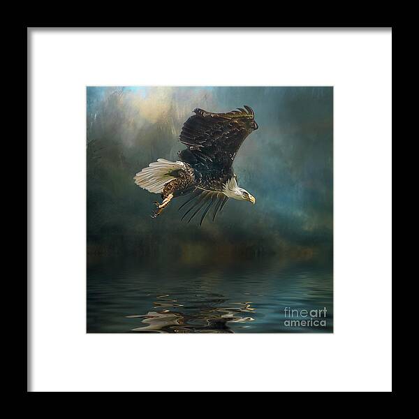 Bald Eagle Framed Print featuring the photograph Bald Eagle swooping #1 by Brian Tarr