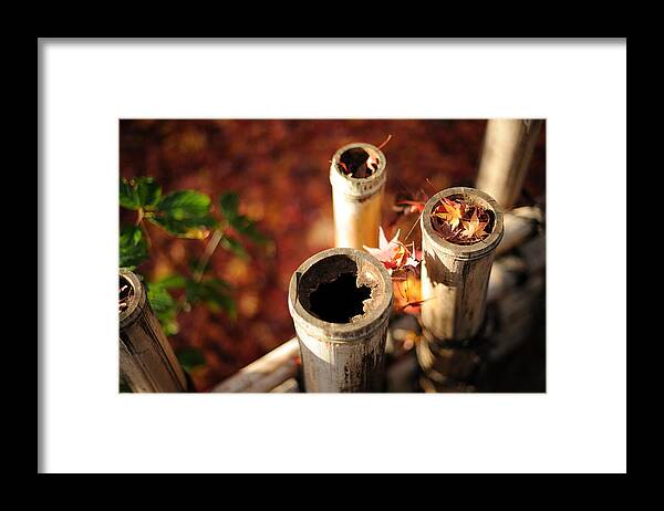 Bamboo Framed Print featuring the digital art Bamboo #1 by Super Lovely
