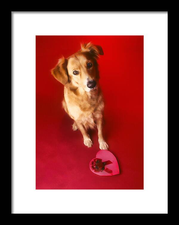 Valentine's Day.holiday Card Framed Print featuring the photograph Be My Valentine #1 by Lou Novick