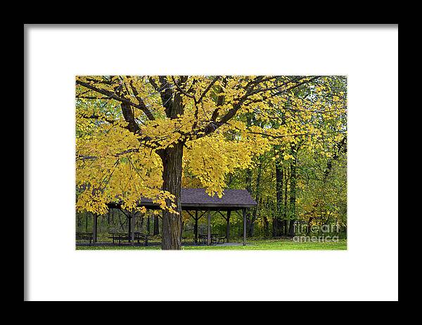 Maple Framed Print featuring the photograph Beautiful Day #1 by Deb Halloran