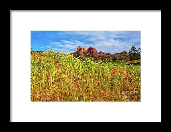 Arizona Framed Print featuring the photograph Beautiful Sedona Landscape #1 by Raul Rodriguez
