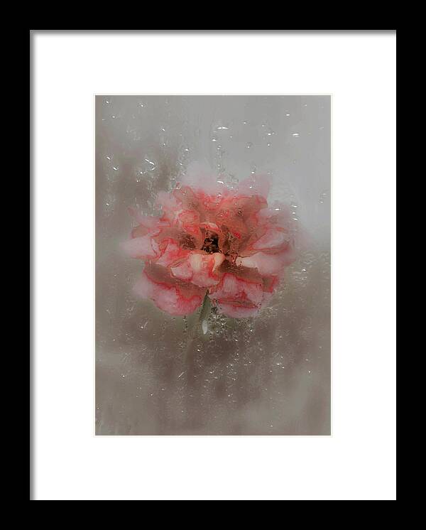 Rain Framed Print featuring the photograph Behind the Glass #1 by Abbie Loyd Kern