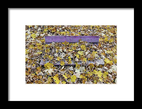 Autum Framed Print featuring the photograph Bench covered in fallen leaves #1 by Michal Boubin