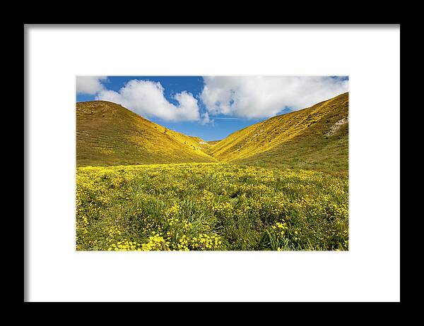 Kern County Framed Print featuring the photograph Bitterwater Valley Road Wildflowers #1 by Rick Pisio