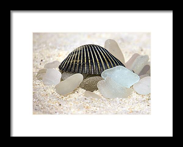 Black Framed Print featuring the photograph Black and White Sea Glass by Janice Drew