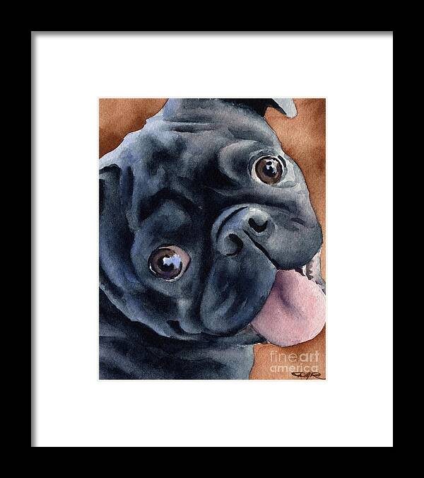 Black Framed Print featuring the painting Black Pug #3 by David Rogers