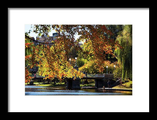 Boston Public Garden Framed Print featuring the photograph Boston Public Garden - Lagoon Bridge #1 by Joann Vitali