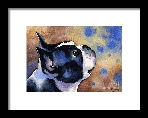 Boston Terrier Framed Print featuring the painting Boston Terrier #13 by David Rogers