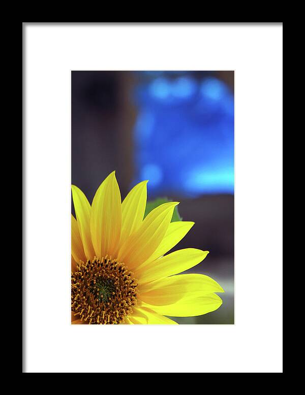 Sunflower Framed Print featuring the photograph Burst of Sunshine by James Knight