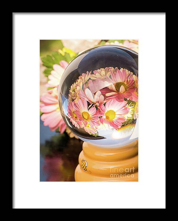 Photography Framed Print featuring the photograph Busy Bee #1 by Deborah Klubertanz