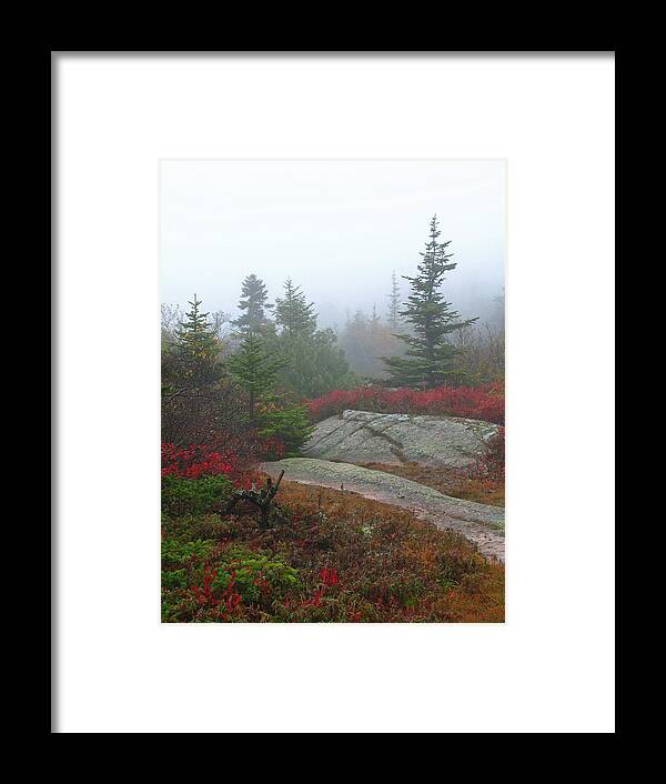 Acadia Np Framed Print featuring the photograph Cadillac Mountain #1 by Juergen Roth