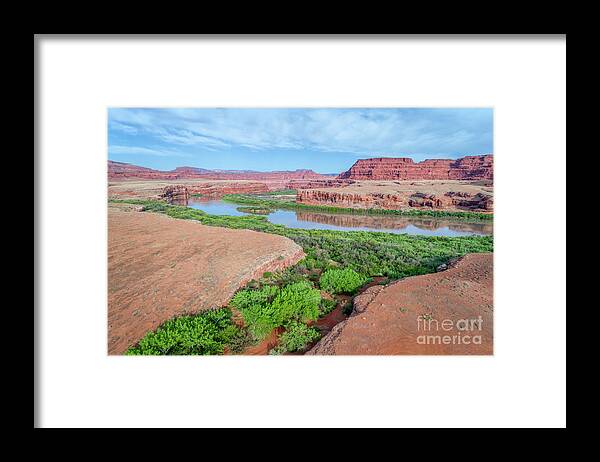 Colorado River Framed Print featuring the photograph Canyon of Colorado River in Utah aerial view #2 by Marek Uliasz