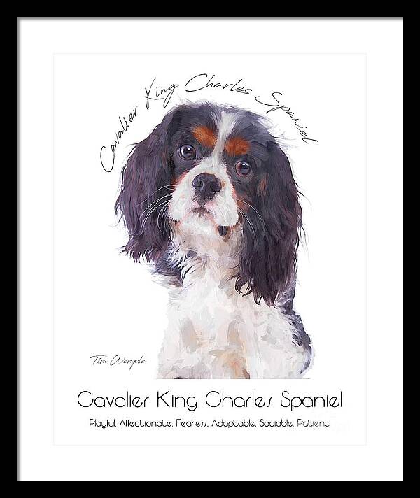 Cavalier Framed Print featuring the digital art Cavalier King Charles Spaniel Poster #1 by Tim Wemple