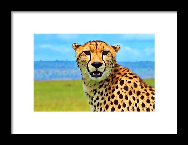Cheetah Framed Print featuring the photograph Cheetah #1 by Gini Moore