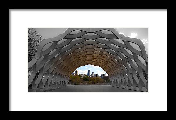 Chicago Framed Print featuring the photograph Chicago Skyline #1 by Lev Kaytsner