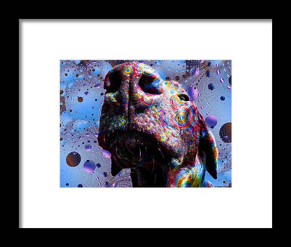 Dog Framed Print featuring the painting Chocolate Lab Nose #2 by Roger Wedegis