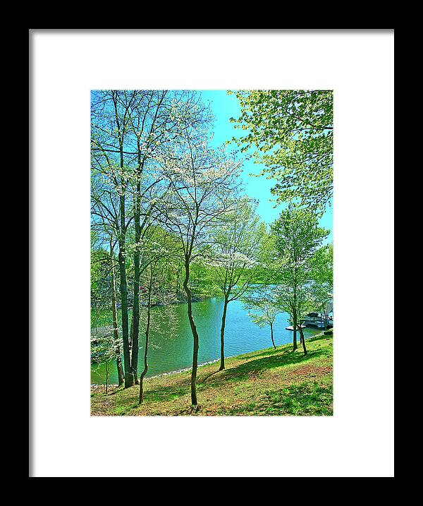 Dogwoods Framed Print featuring the photograph Cluster of Dowood Trees by The James Roney Collection