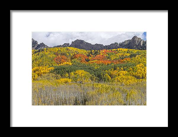 Colorado Framed Print featuring the photograph Colorado Kebler Pass Fall Foliage by James BO Insogna