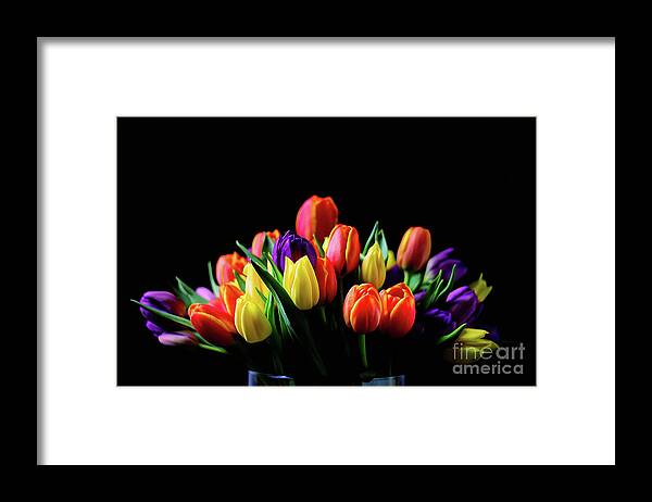 Digital Painting Framed Print featuring the photograph Colorful Tulips #1 by Darren Fisher