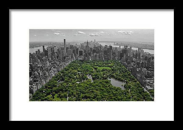 Central Park Framed Print featuring the photograph Concrete Jungle #1 by Rand Ningali