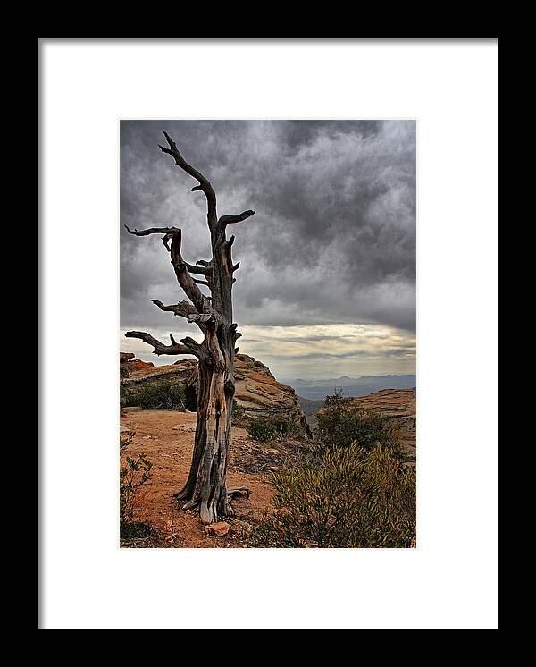 Mount Lemmon Framed Print featuring the photograph Crags and Crooks II #1 by Leda Robertson