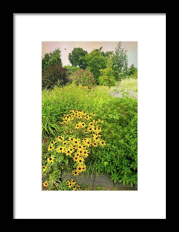 Flowers Framed Print featuring the photograph Daisy Days #1 by Diana Angstadt