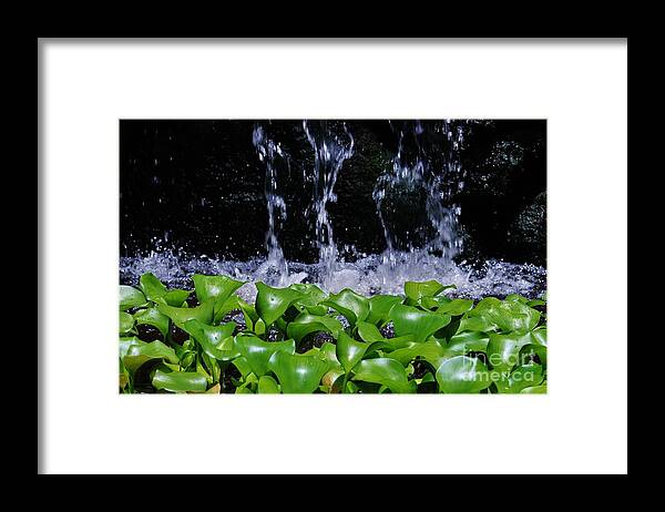 Water Framed Print featuring the photograph Dancing Water #1 by Craig Wood
