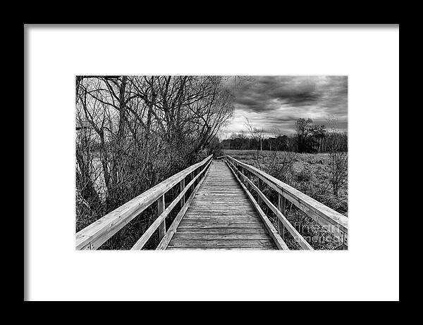 Black And White Framed Print featuring the photograph Dark and Twisty #1 by CJ Benson
