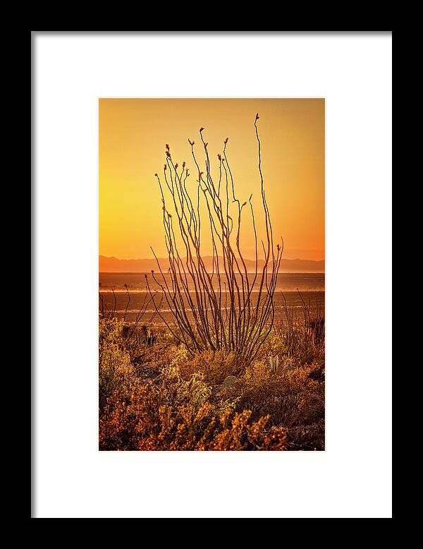 Apache Country Framed Print featuring the photograph Dog Canyon Sunset #1 by Diana Powell