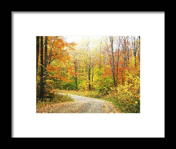 Trees Framed Print featuring the photograph Down the Lane #1 by Jeanette Oberholtzer